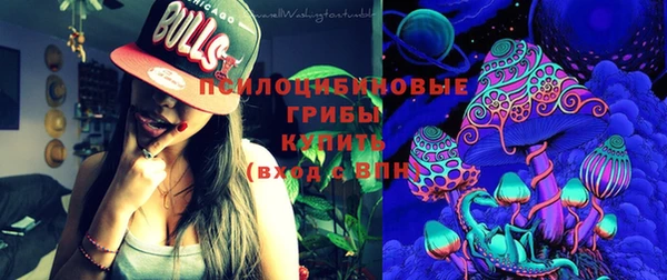 СК Верея