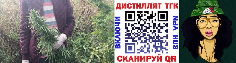 Дистиллят ТГК Wax  Купить где  Лукоянов 